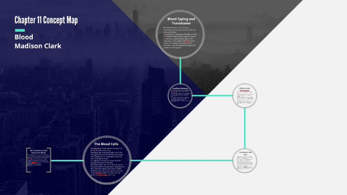 Chapter 11 Concept Map by Maddie Clark on Prezi