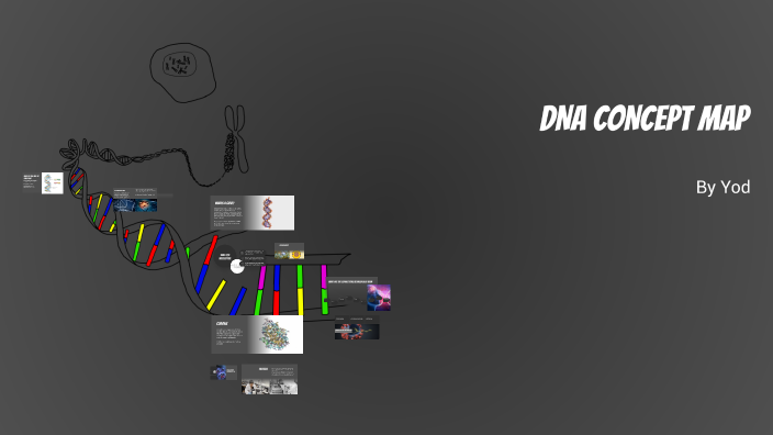 Understanding Genetic Fundamentals: A Mind Map by Yod Abebe on Prezi