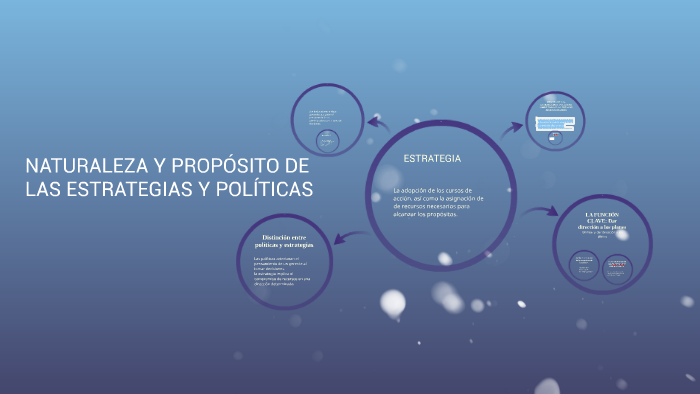 La Naturaleza Y El Propósito De Las Estrategias Y Políticas