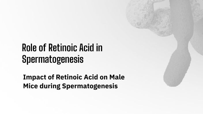 Role of Retinoic Acid in Spermatogenesis by Farah Amr Sabry Faried Abd ...