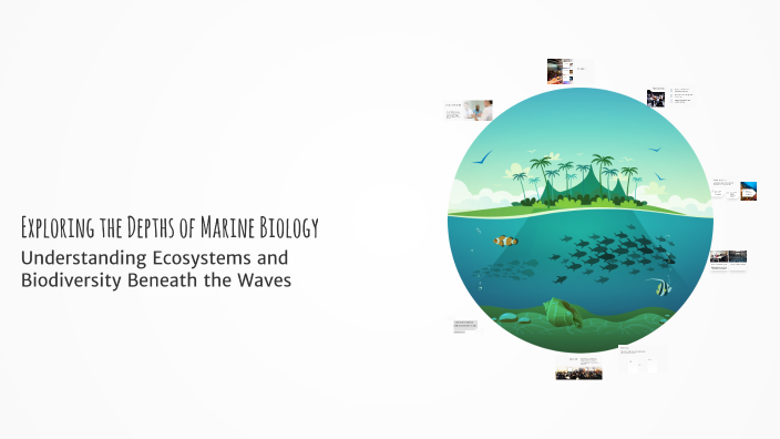 Exploring the Depths of Marine Biology by Jacob Perez on Prezi