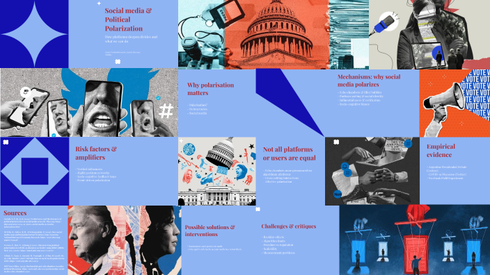 The role of social media in politics: polarization by Janne ...