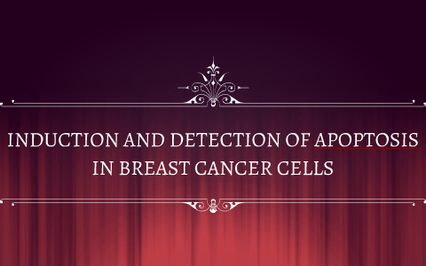 INDUCTION AND DETECTION OF APOPTOSIS IN BREAST CANCER CELLS by Fatima ...