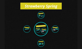 strawberry spring summary