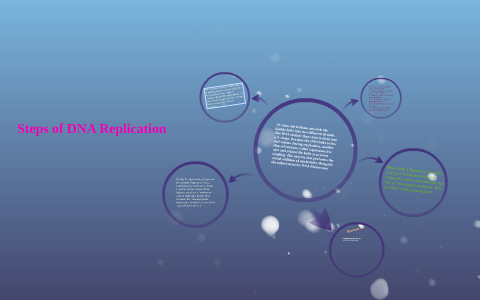 Steps of DNA Replication by Brooke Etzel on Prezi