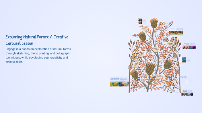 Exploring Natural Forms: A Creative Carousel Lesson by Charlotte ...