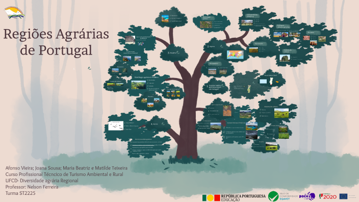 Regi es Agr rias De Portugal By Jana Gacha On Prezi regi-es-agr-rias-de-portugal-by-jana-gacha-on-prezi
