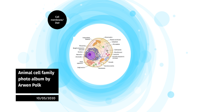 Biology animal cell family photo album by Josselynn Polk on Prezi Next