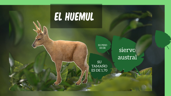 EL HUEMUL by on Prezi