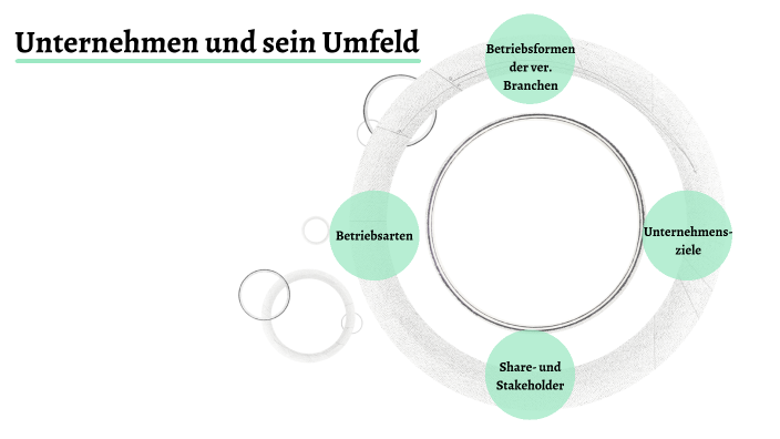 DAS UNTERNEHMEN UND SEIN UMFELD intelligence overview