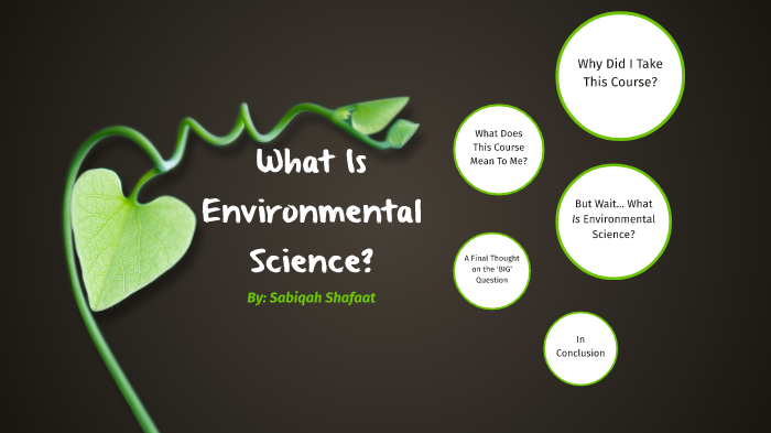 what is environmental science essay brainly
