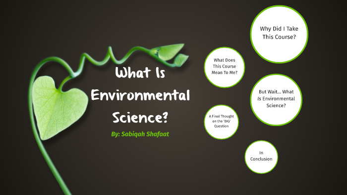 what-is-environmental-science-by-sabiqah-shafaat