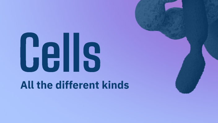 Cells by Henry S on Prezi
