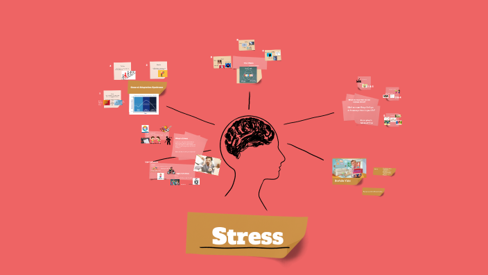 Understanding Stress by Grace Kettle on Prezi