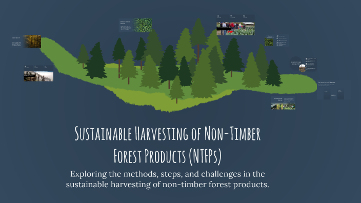 Sustainable Harvesting of Non-Timber Forest Products (NTFPs) by ...