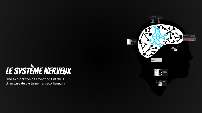 Le Système Nerveux by Shshshsjjfj Sbhdjdjfj on Prezi