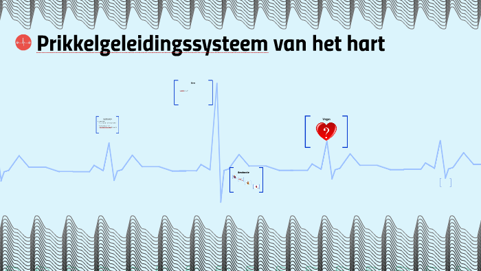 Prikkelgeleidingssysteem van het hart by on Prezi