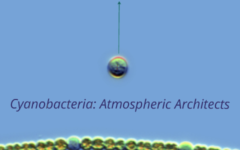 Cyanobacteria: Atmospheric Architects by Freddie Hensen on Prezi