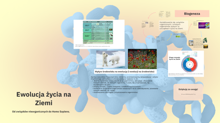 Ewolucja życia na Ziemi by Ula Stefanowska on Prezi
