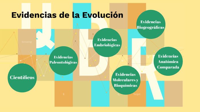 Evidencias de la Evolución by Natalie Abril on Prezi