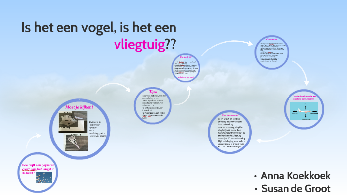 Is het een vogel, is het een vliegtuig?? by Anna Koekkoek on Prezi
