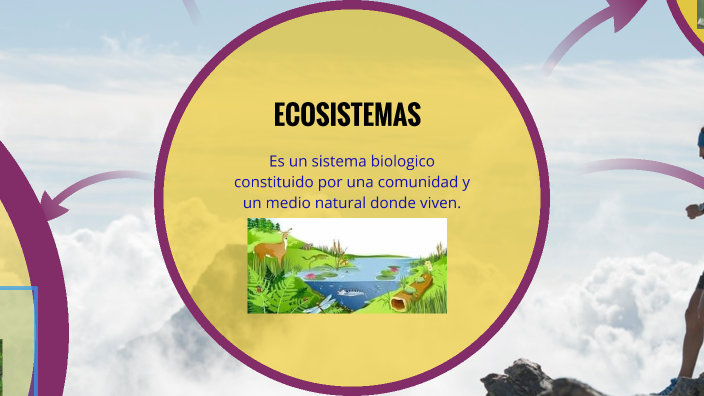 Los Ecosistemas By Mirtha Caman Tuesta On Prezi