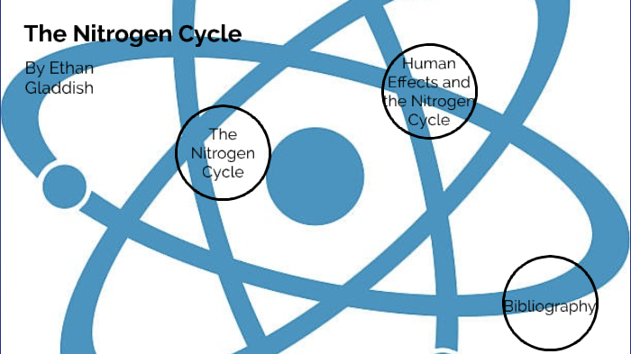 the nitrogen cycle by Ethan Gladdish on Prezi