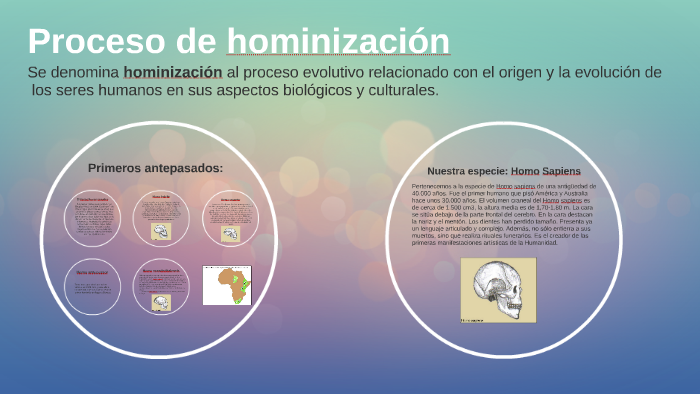 Proceso de hominización by Rocío Zurita on Prezi
