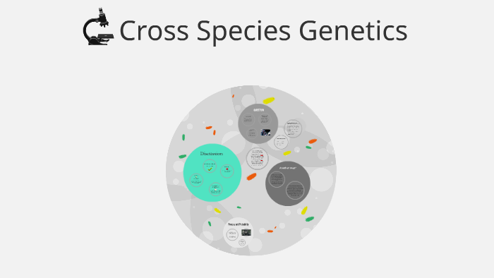 Cross Species Genetics by Gavin Limber on Prezi