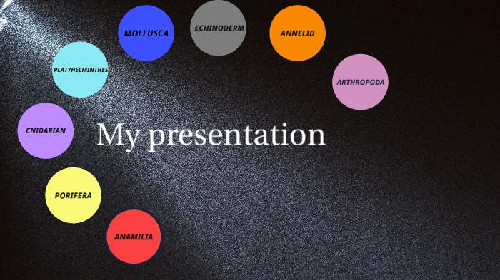 zoology by izzi samuels on Prezi