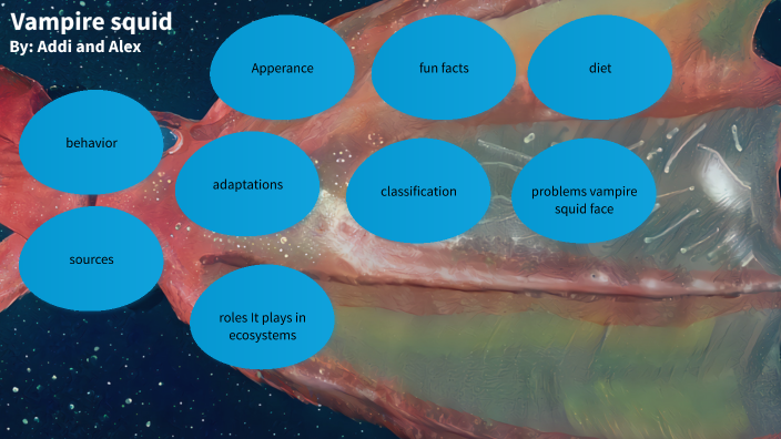 Vampire squid by Addi Joyce on Prezi