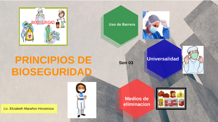 BIOSEGURIDAD by Maria Elizabeth Marañón Hinostroza on Prezi