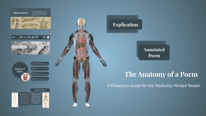 The Anatomy of a Poem By Maeva Trembley by Maeva Trembley on Prezi
