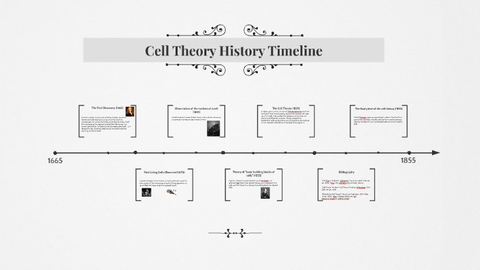 cell history timeline template