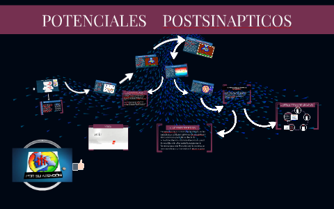 POTENCIALES POSTSINAPTICOS by Alee Lopez on Prezi