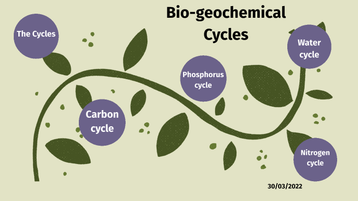 Biogeochemical cycles by Lily Mork on Prezi