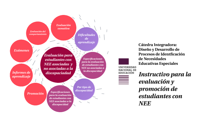 INSTRUCTIVO PARA EVALUACIÓN Y PROMOCIÓN DE ESTUDIANTES CON NEE by Karen ...