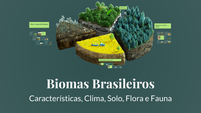 Biomas Brasileiros by Edilaine Alexandre on Prezi