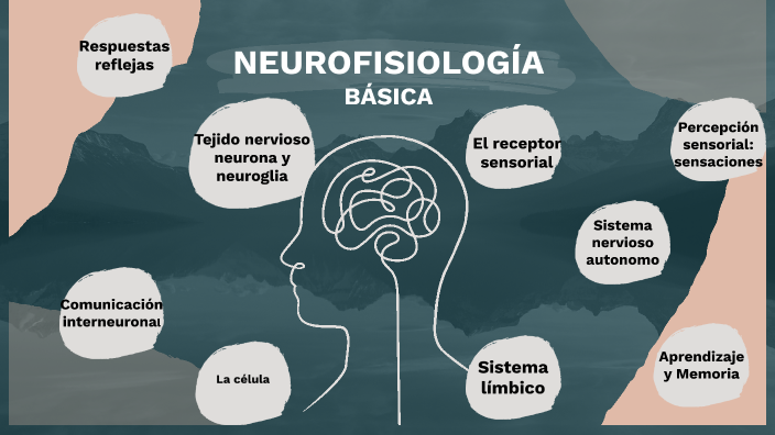 Neurofisiología básica by Monica González Hernández
