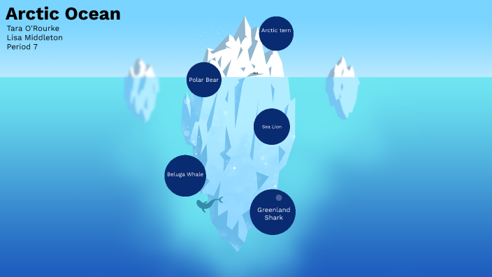 Arctic Ecosystem by Tara ORourke on Prezi