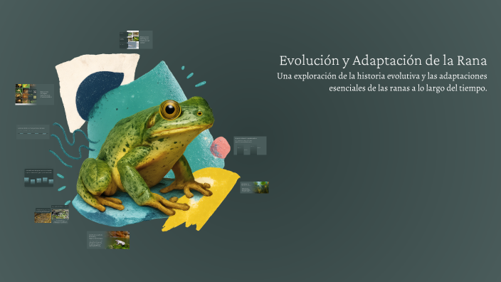Rezi Rana Evolución y Adaptación de la Rana by diego torres on Prezi