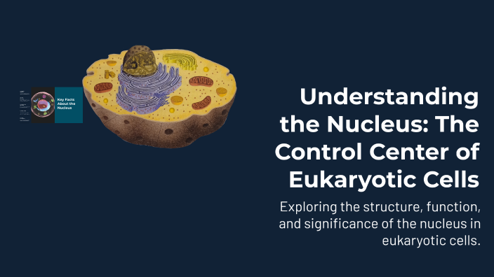 Understanding the Nucleus: The Control Center of Eukaryotic Cells by ...