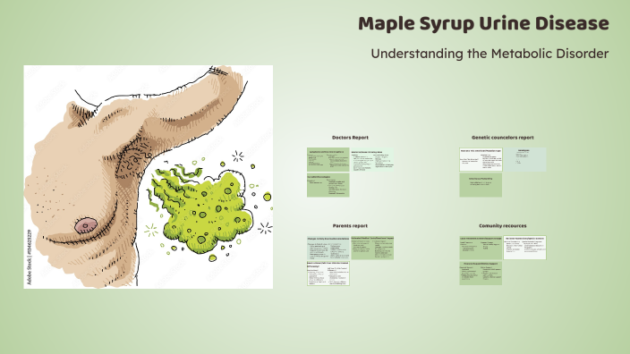 Maple Syrup urine disease by matthew Simmons on Prezi