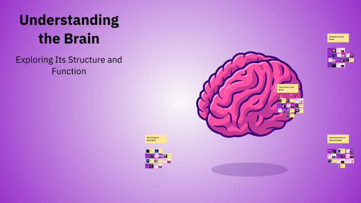 Understanding the Brain by Kasia Kasia on Prezi