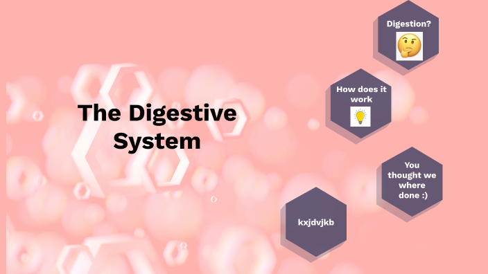 The Digestive System by wed alsharif on Prezi