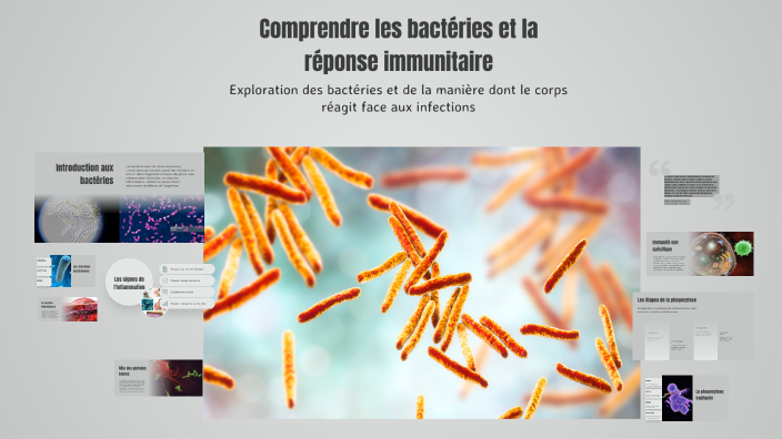 Comprendre les bactéries et la réponse immunitaire by Ksibi Yasmine on ...