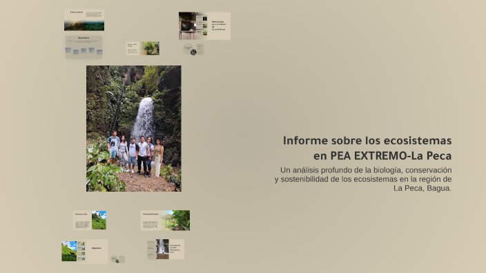 Informe sobre los ecosistemas en PEA EXTREMO-La Peca by kiara tavara on ...