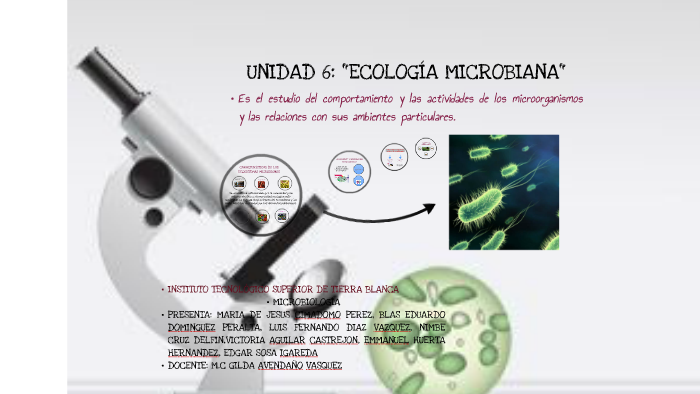 ecosistema bacteriano by eduardo cruz on Prezi