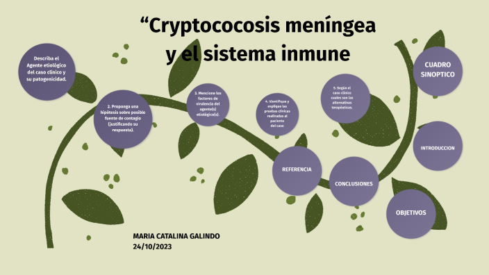 “Cryptococosis meníngea y el sistema inmune by María Catalina Galindo