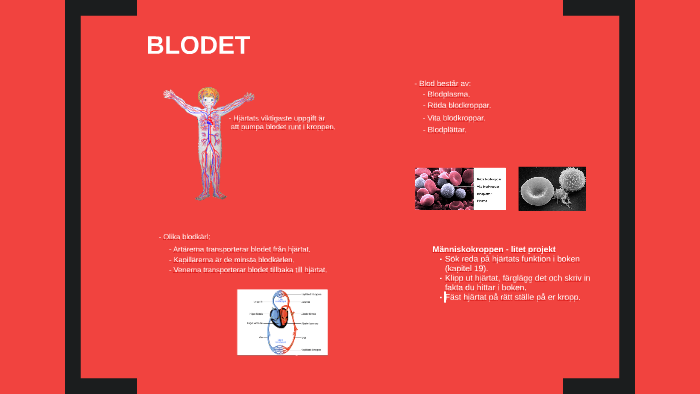 Blodet By